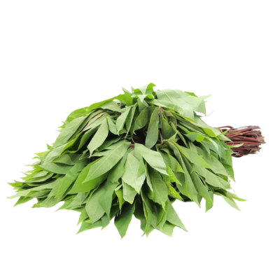 Feuilles, fleurs et Plantes