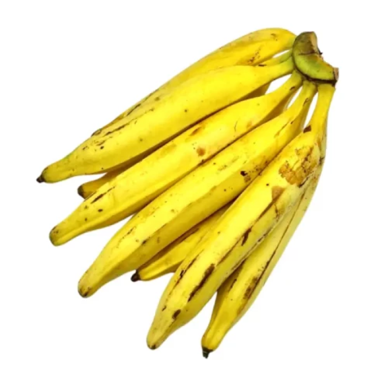 Banane Plantain